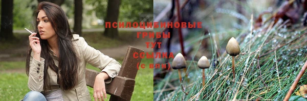 спиды Волоколамск