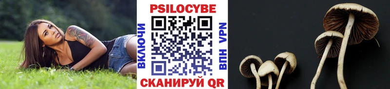 Псилоцибиновые грибы GOLDEN TEACHER  цены наркотик  Грязи 
