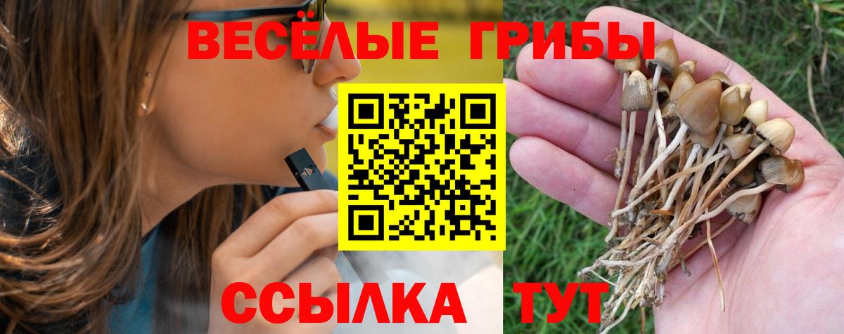 Псилоцибиновые грибы Magic Shrooms Грязи