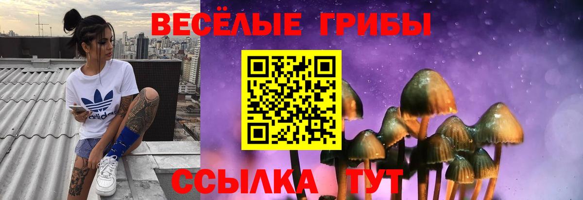Грязи  Галлюциногенные грибы GOLDEN TEACHER  Вход с VPN 
