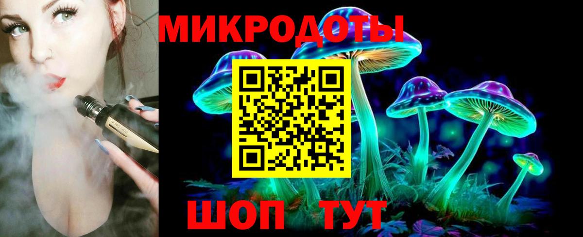 Галлюциногенные грибы Psilocybe Грязи