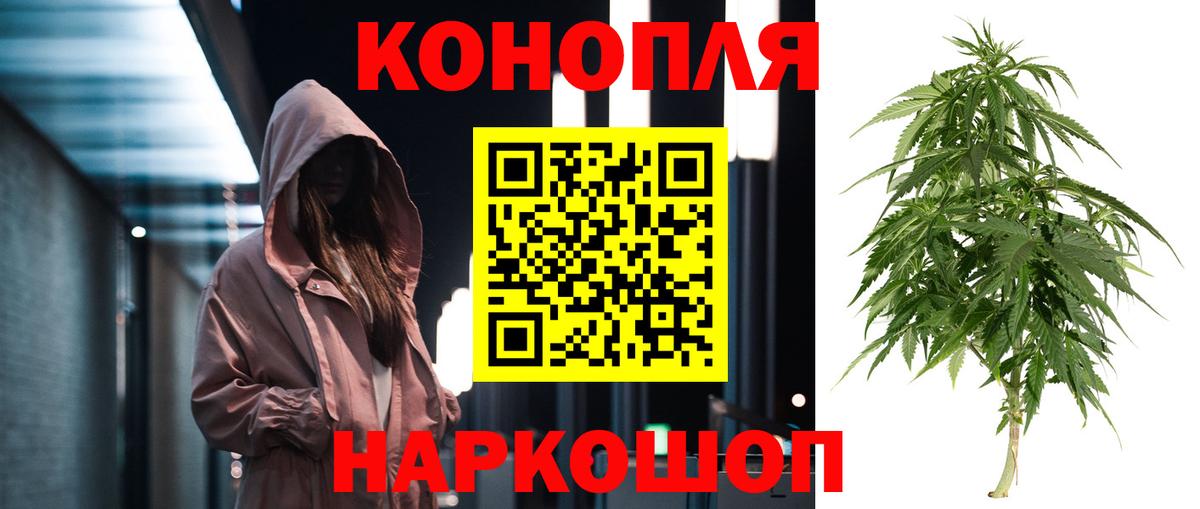Шишки марихуана план Грязи